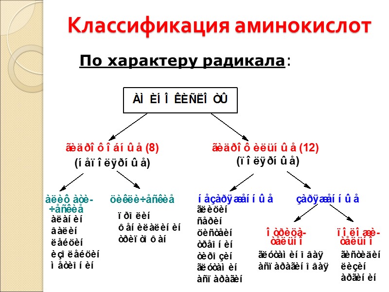 Классификация аминокислот По характеру радикала: